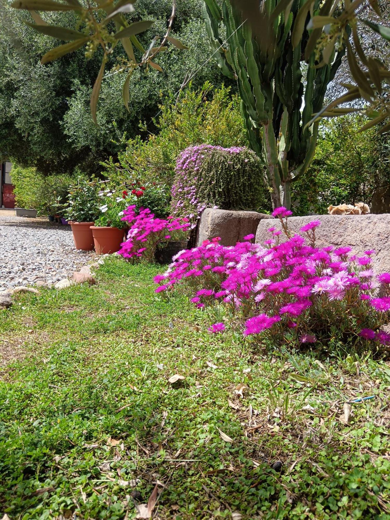 Sulcis Camere San Giovanni Suergiu Exterior photo